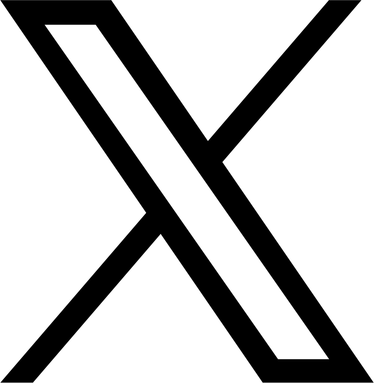 Large X Logo